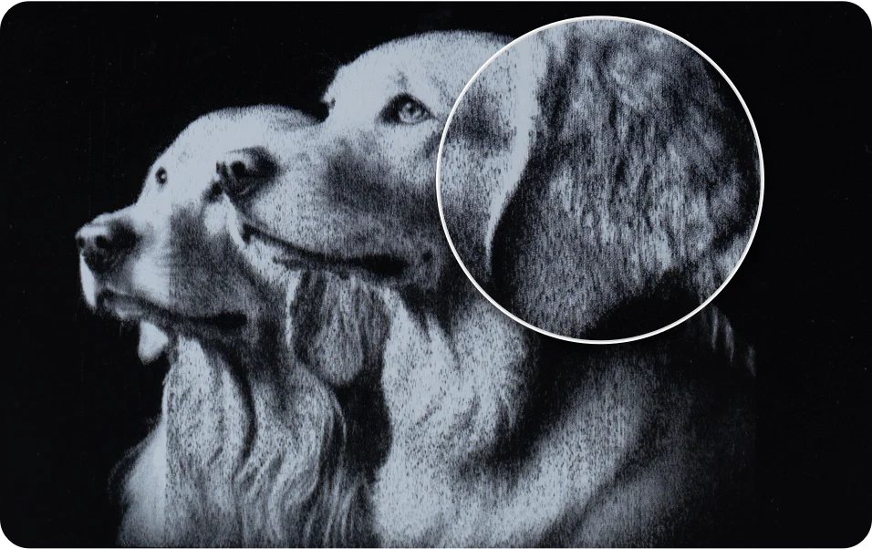 -1682417756556.webp__PID:2588c788-555a-4de2-928f-65cbfd6c6be6