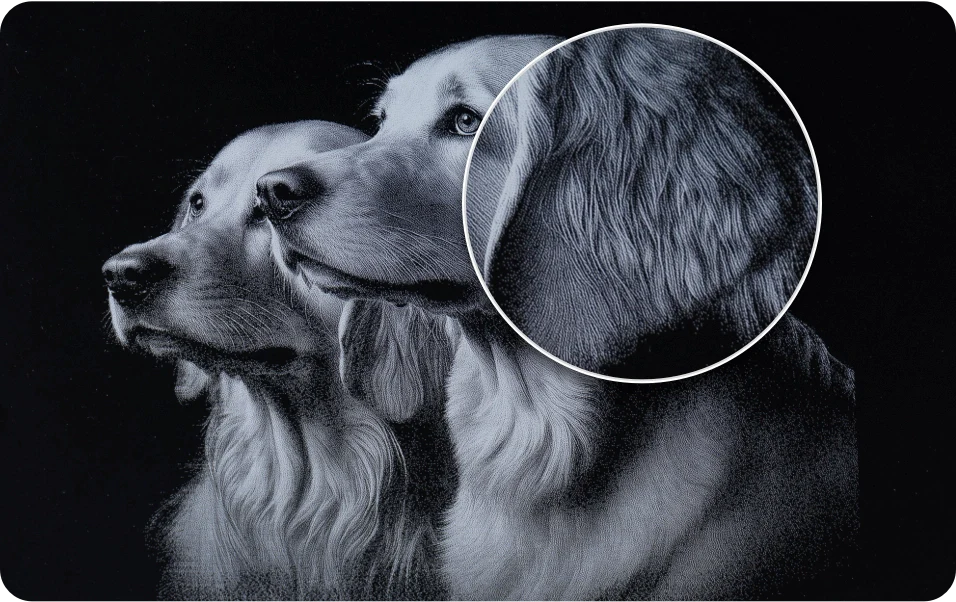 -1682417756561.webp__PID:ed502588-c788-455a-ade2-928f65cbfd6c