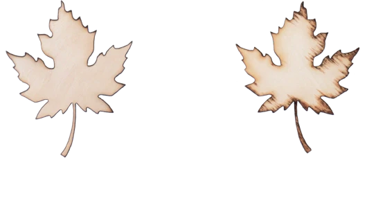 20230425183756-1682419088690.webp__PID:659f985f-d60b-4ad3-b3bb-4dd4504368e1