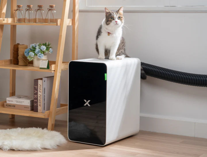 dB_95ac2704-bcf8-426a-bfe7-7b0f4929a1f8.webp__PID:ba01d318-1762-42ac-a791-0b50aa9ae793