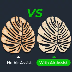 xtoolairassist1-1656997850121.webp__PID:a5027aea-2ded-45bc-85f2-bd0ef2747938